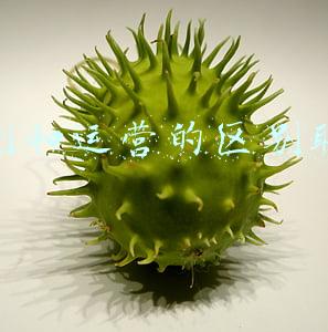 策划和运营的区别联系