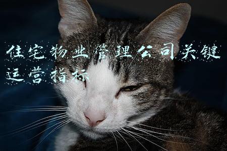 住宅物业管理公司关键运营指标