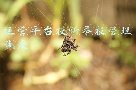 投诉举报机制(完整版客户投诉管理制度（包括制度、流程、表格）)