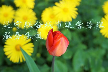 辽宁联合商务(口号征集，奖金丰厚，快来投稿)