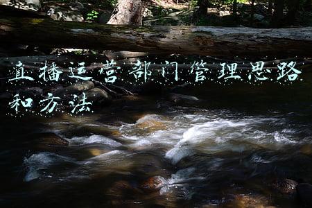 直播运营部门管理思路和方法