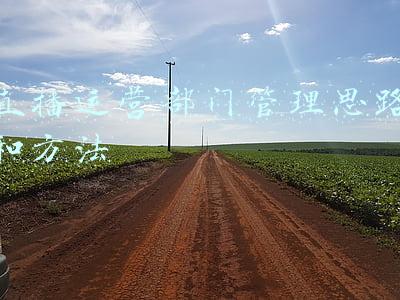 做直播运营的思路及方法(抖音直播运营操作技巧（超详细）)
