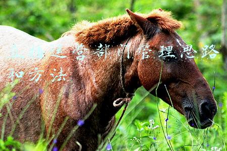 财务运营部门管理思路(以财务视角看运营：如何规避风险、增加回报 | 财智观察)