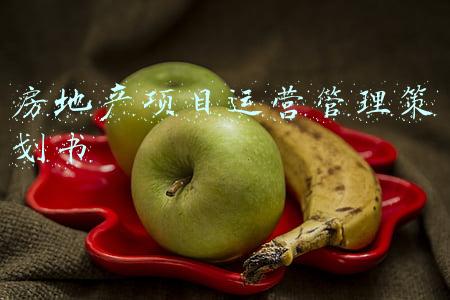 房地产项目运营管理策划书