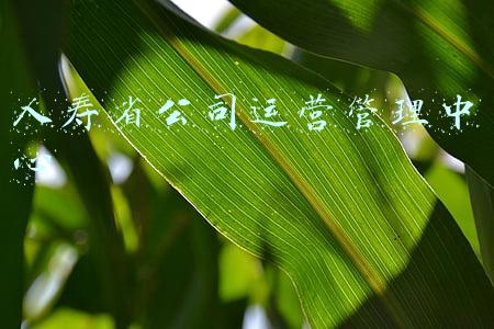 人寿省公司运营管理中心