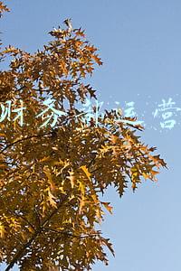 经管财务部运营管理