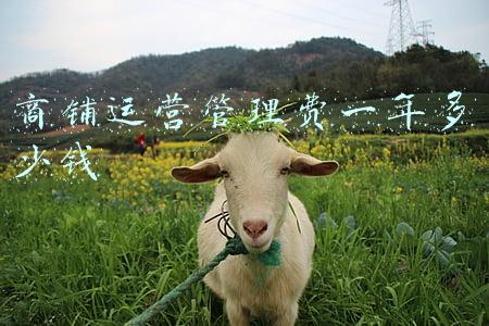 商铺运营管理费一年多少钱