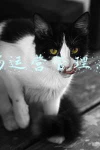 机场运营管理系统