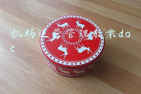 机场运营管理教案doc