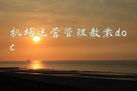 机场运营管理教案doc