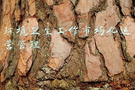 环卫市场化运作调研报告(2021年中国环卫服务行业发展趋势，机械化率提升势在必行「图」)