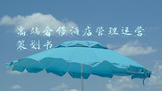 酒店商业策划书(酒店式湖景别墅商业计划书——历时22天，精修版本)