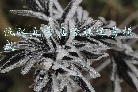 汽配直营店管理运营模式