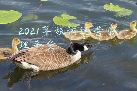 2021年旅游营销工作计划(池州市文旅局多措并举推进“政策找企业”活动)