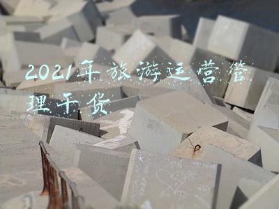 2021年旅游运营管理干货