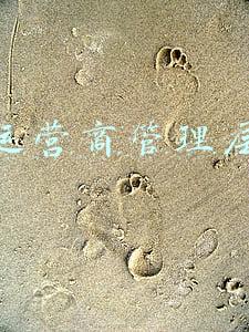 三大运营商官网(三大运营商宽带科普)