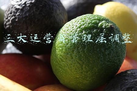 三大运营商(我国三大电信运营商业绩半年报出炉 收入增速创新高)