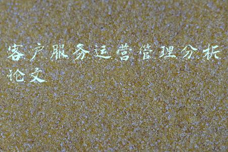 客户服务运营管理分析论文