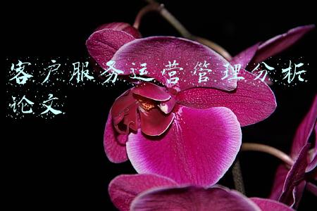 客户服务运营管理分析论文