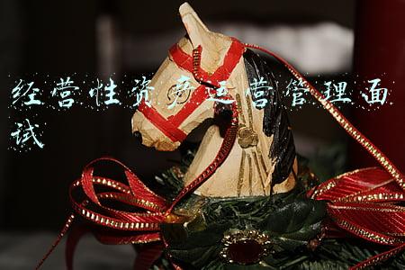 经营性资产运营管理面试