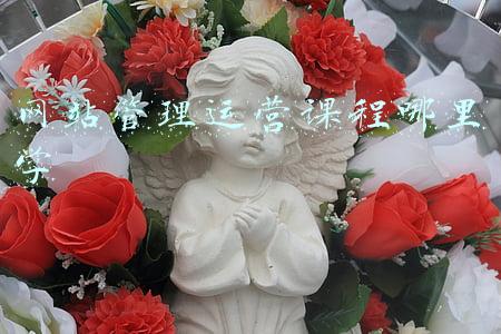 网站管理运营课程哪里学