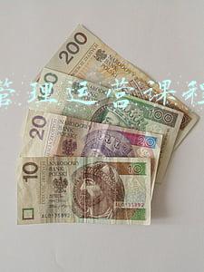 网站管理运营课程哪里学