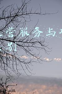 日常运营服务与项目管理的区别