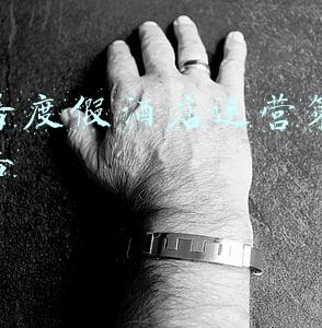 酒店运营策划总结(酒店年度工作计划书范文精选)