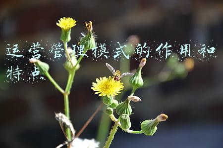运营管理模式有哪几种(「精益学堂」卓越工厂运营管理模式)