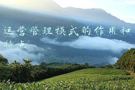 淘宝的运营模式及特点(照顾酱：淘宝运营的精髓是什么？)