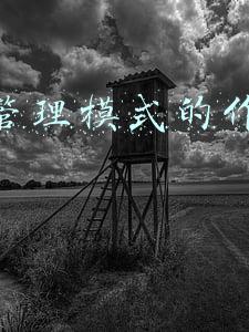 拼多多运营模式特点(如何理解拼多多的商业模式，拼多多商业模式有何优缺点)