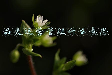 品类运营管理什么意思