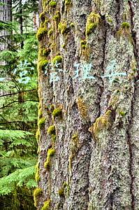 城市运营管理委员会职责 城市运营管理委员会职责