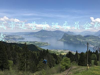 城市运营管理委员会职责 城市运营管理委员会职责