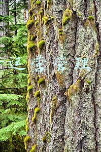 农行运营管理部(农行信阳罗山支行开展“我为群众办实事，农行运营进社区”活动)