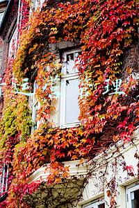 农行运营管理员工