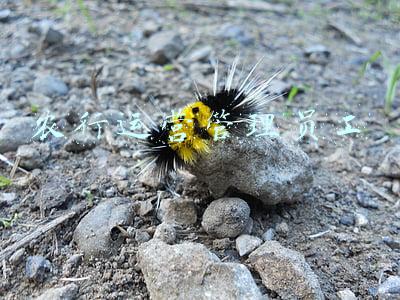 农行运营管理员工 农行运营管理员工