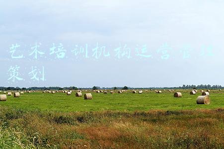 艺术培训机构运营管理策划 艺术培训机构运营管理策划