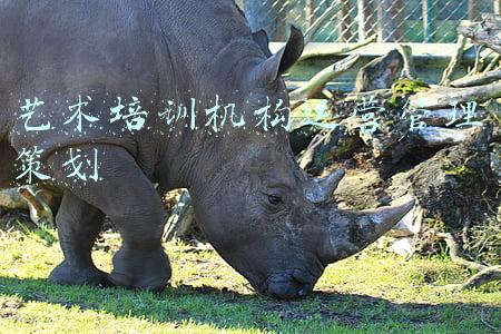 双流区艺术培训机构(即将截止报名！双流这些免费艺术培训你真的不来吗？)