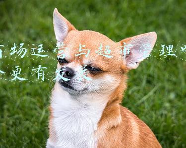 超市管理和营销(超市春节营销攻略（附表格）)