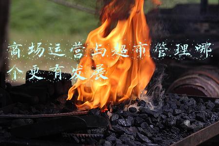 商场运营与超市管理哪个更有发展