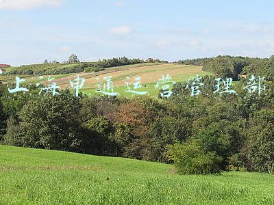 上海申通总部(申通快递全球化战略提速，申通国际总部花落桐庐)