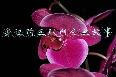 身边人的创业故事(村里回来新能人：两个年轻人返乡创业的故事)