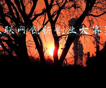 互联网+大学生创新创业大赛怎么做(“互联网+”大学生创新创业大赛综述)