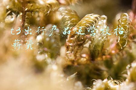 t3出行产品运营校招薪资