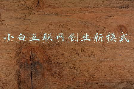 互联网小白怎么进互联网公司(小白想进入IT行业，学习步骤有哪些？)