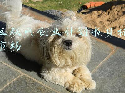 创业计划书市场规模(一个生物销售的创业计划书——卖细胞是个大商机)