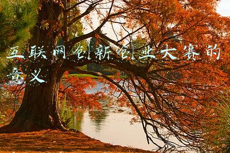 互联网创新创业大赛的意义