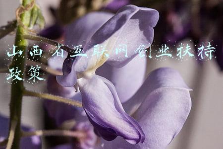 山西省就业创业网(山西：秋季学期校园招聘已启动 多所高校有安排)