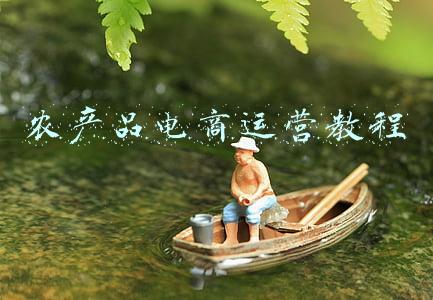 农产品电商运营模式(“直播+短视频”农产品电商模式探究——以藏红花为例)